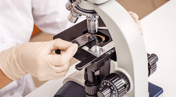 a microscope at a veterinary laboratory in fredericksburg, VA testing a pet's blood work